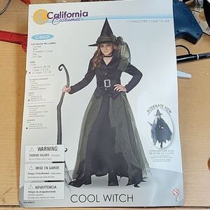 California Costumes Cool Witch‎ Wicked  Child X Large Halloween